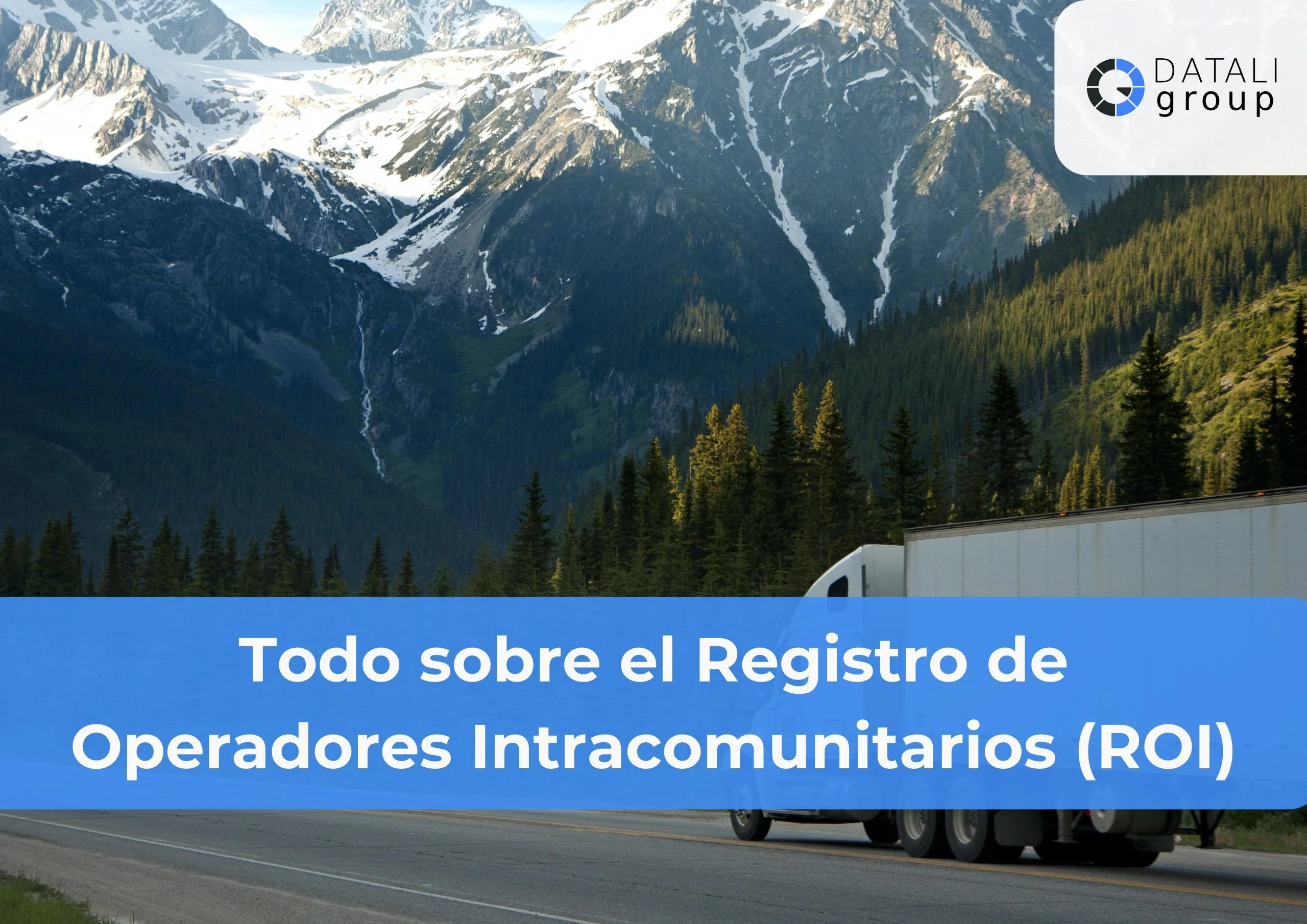 Registro de Operadores Intracomunitarios - Datali Group