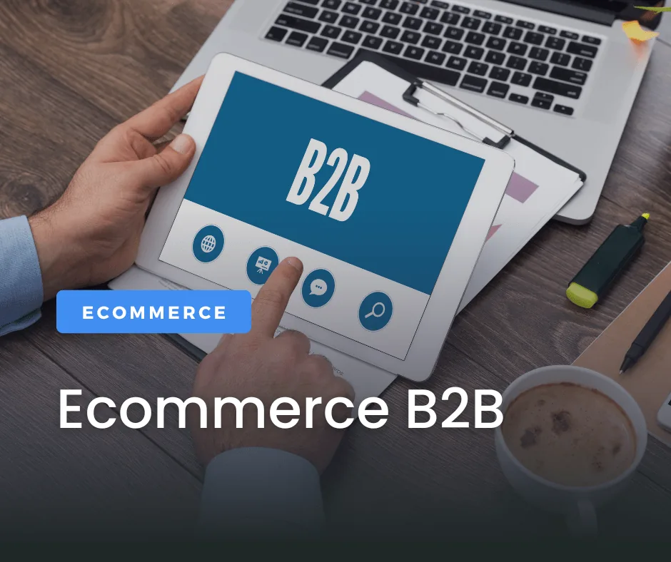 ECOMMERCE B2B (2)