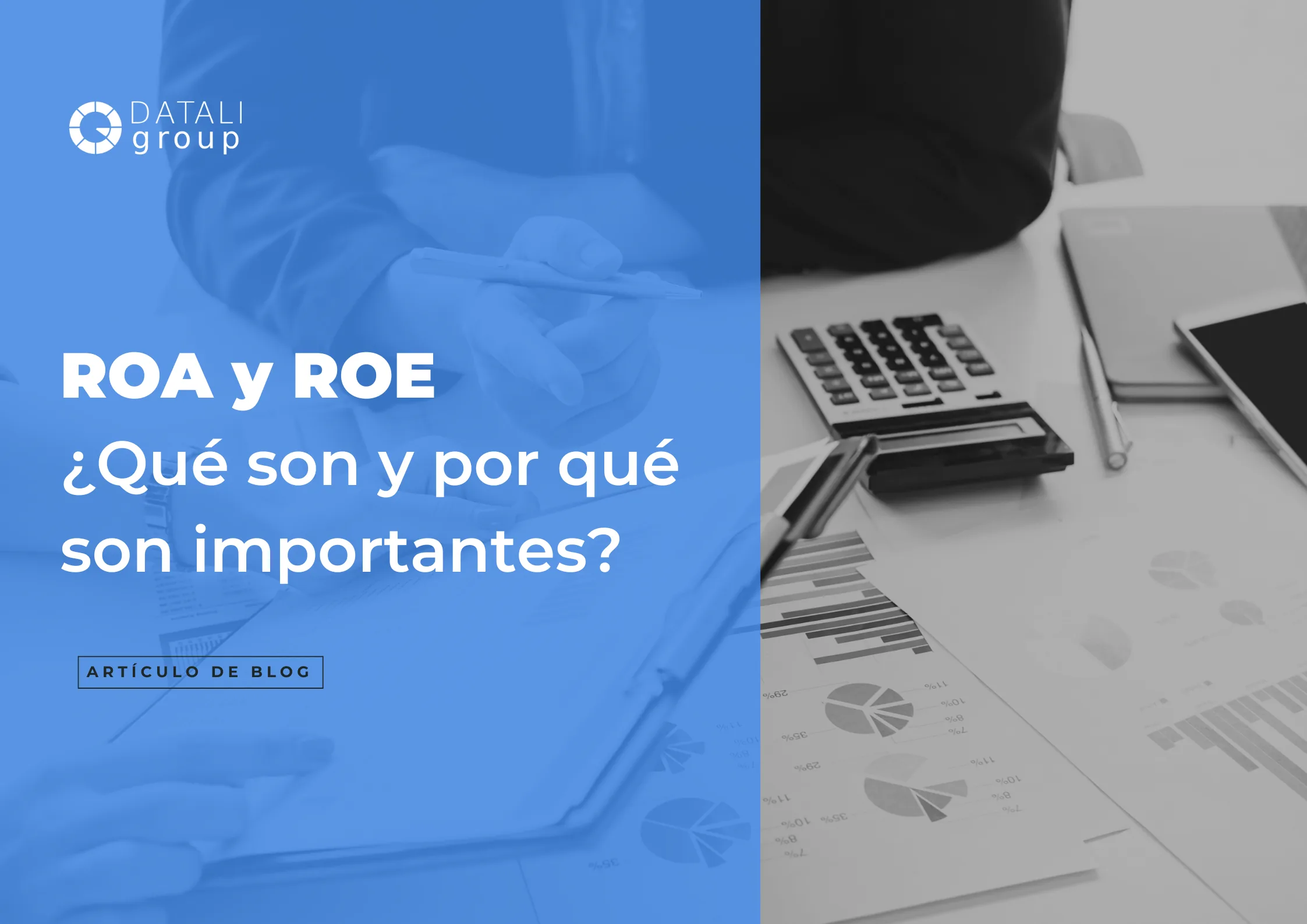 ¿Qué son ROA y ROE?