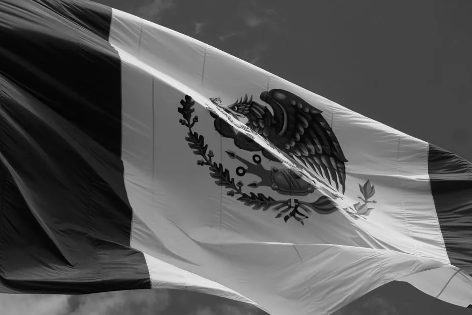 Inspector de la Agencia Tributaria analizando datos de importaciones y ventas online para auditar a vendedores de ecommerce