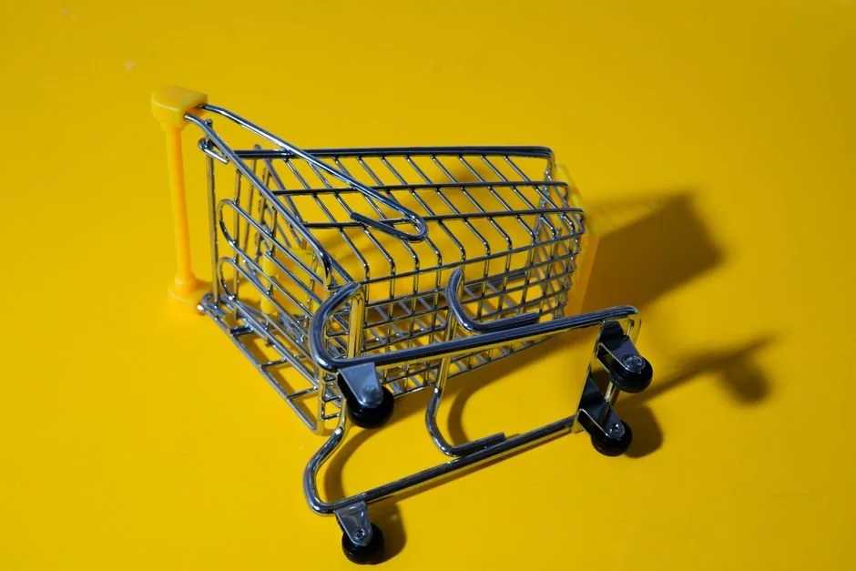 Asesor financiero analizando gráficos de flujo de caja en un ordenador para optimizar la rentabilidad de pymes ecommerce.